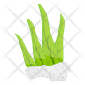 microalgae logo