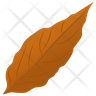 magnolia leaf icon