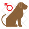 male dog logo