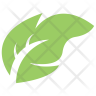 maple-ash logo