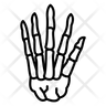 finger bones logos