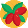 miracle fruit icons