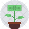 icon for money flower