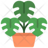 icon for monstera plant