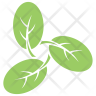 icon for moringa