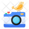 camera check emoji