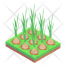 icon for onion agriculture