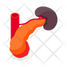 pancreas symbol