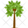 icon papaya tree