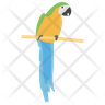 icon parakeet