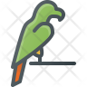 icon for parrot