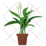peace lily icons