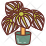 peperomia icon