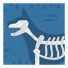 animal x ray icon download
