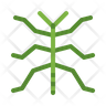 phasmid icon png