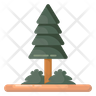 pine wood icon svg