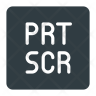 printscreen logo