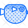 puffer fish icon png