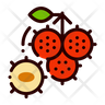 icon for rambutan fruit