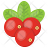 icons of red berries