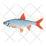 roach fish icons