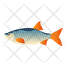 icon for roach fish