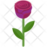 rose icon svg