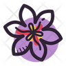 icons of saffron flower
