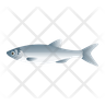 icon for sardine fish
