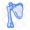 scapula bone logo