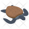 sea turtle icons
