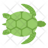 icons for sea turtle