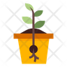 icon for seed growth