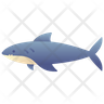 sharks icons