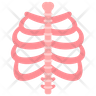 skeletal system icon png