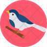 icons of finch