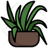 spider plant icon svg