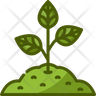 icon seed sprout
