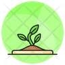 plant seeds logo