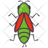 plecoptera icon svg