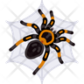 tarantula icon
