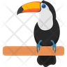 icons of toco toucan