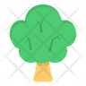 rainforest tree icon