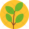 vine tree icon