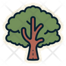 icon for tree with leaves
