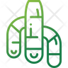curcuma logo