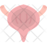 bladder urethra icon