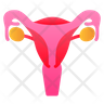 uterus icon svg