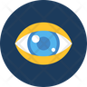 eye magnifier icons