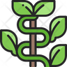 icons for vine plant